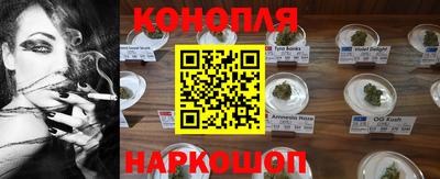 прущие грибы Заводоуковск
