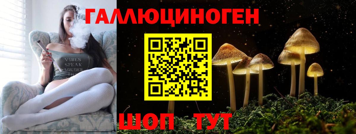 Шуя  Галлюциногенные грибы Psilocybe  купить наркоту  Вход с VPN 